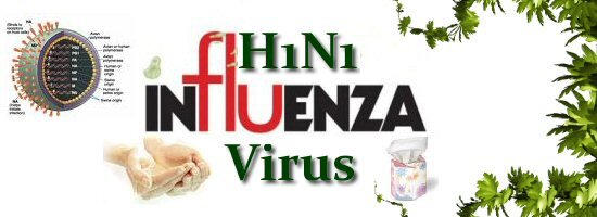 swineflu